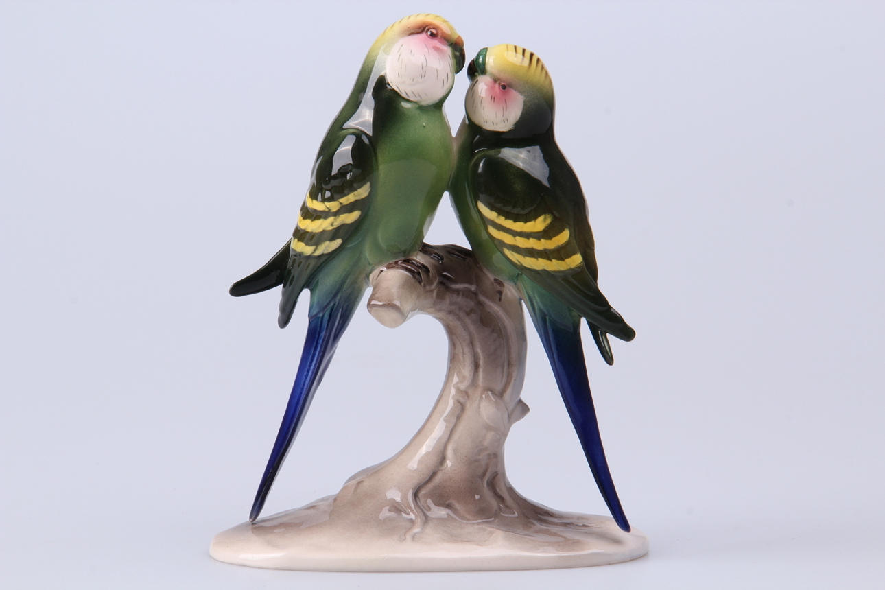 FIGURIN, undulater, Hertwig, Tyskland.