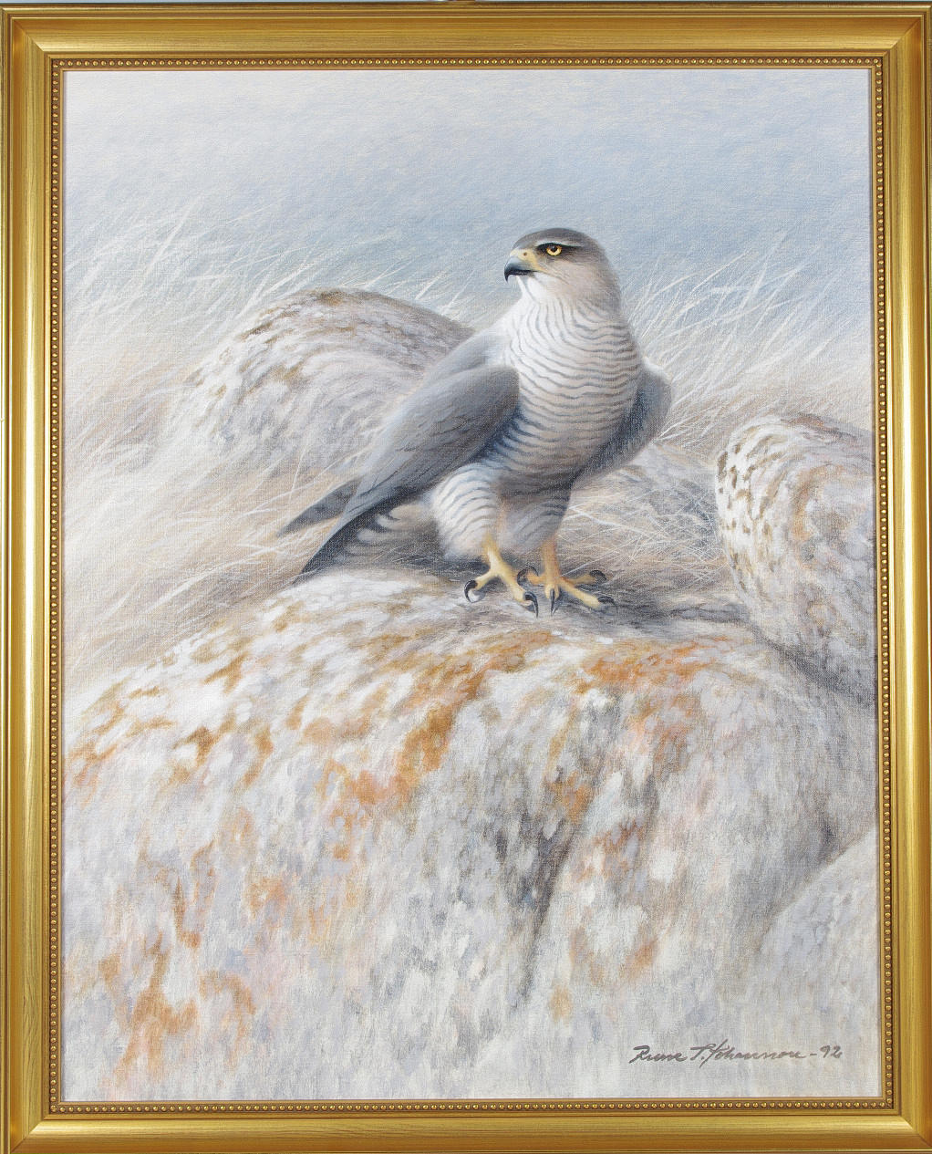 Duvhök, olja på duk, signerad Rune T Johansson -92.