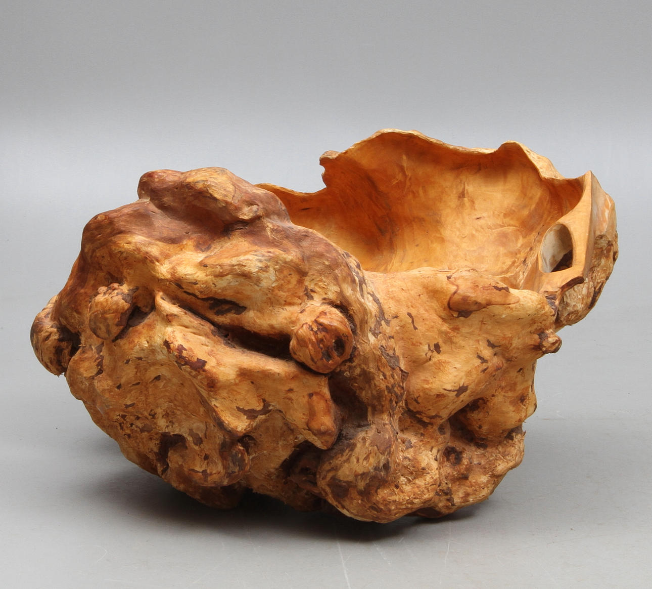 VRIL, björkrot, 19/2000-tal.