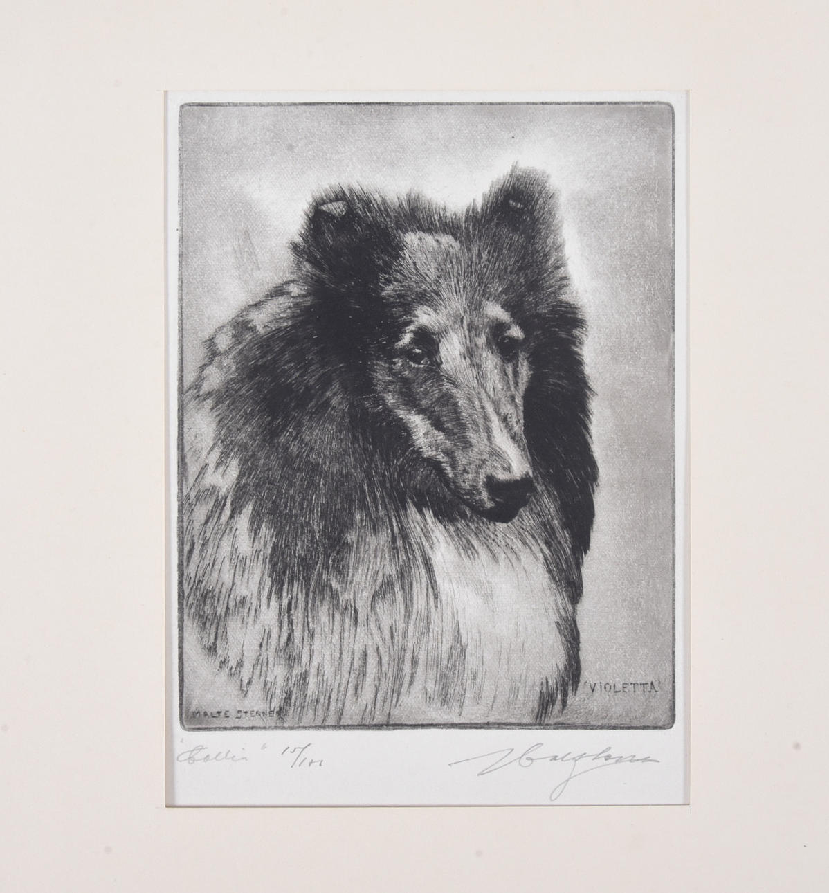 MALTE STERNER. Etsning.