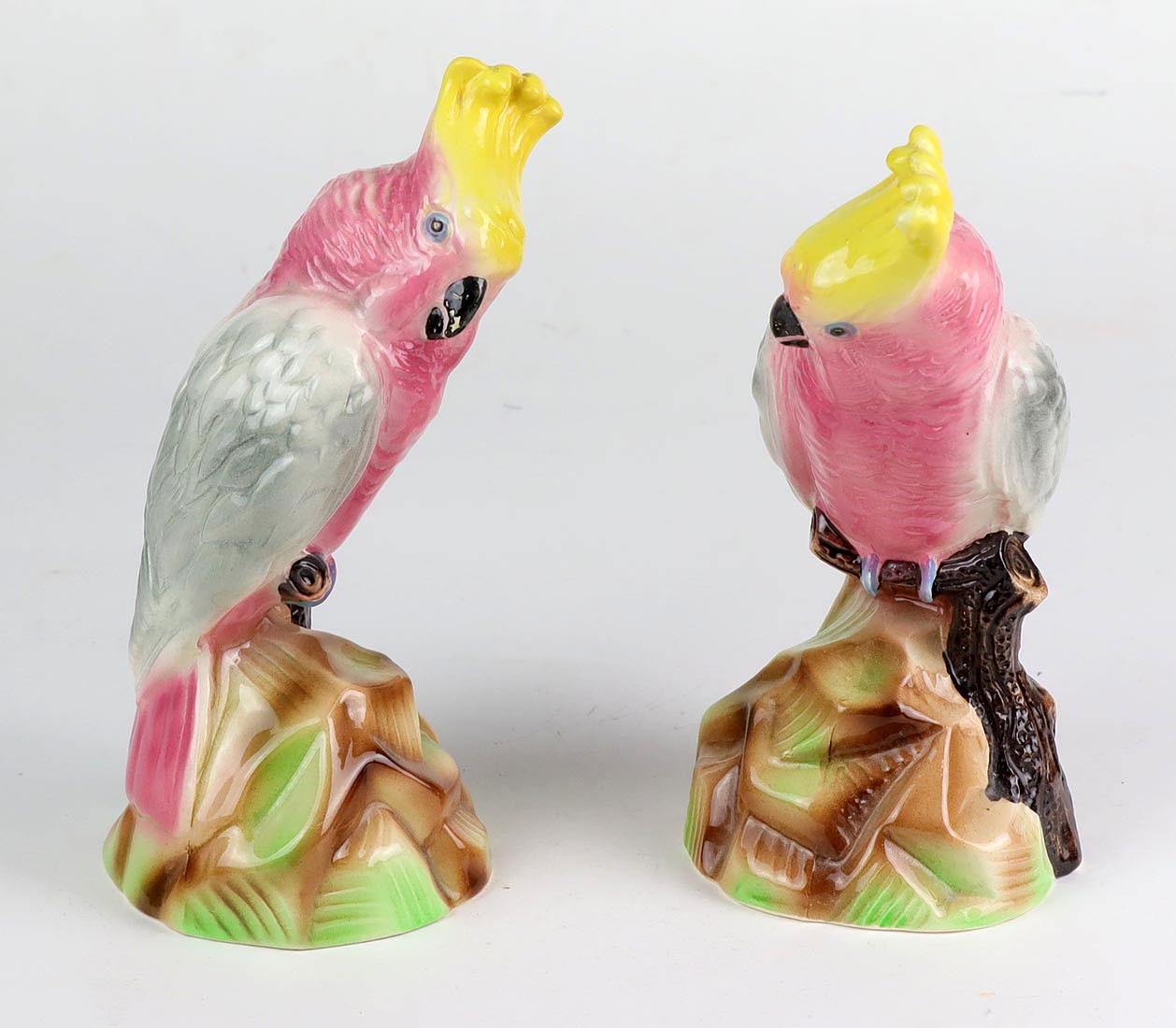 Nymphensittich Paar.