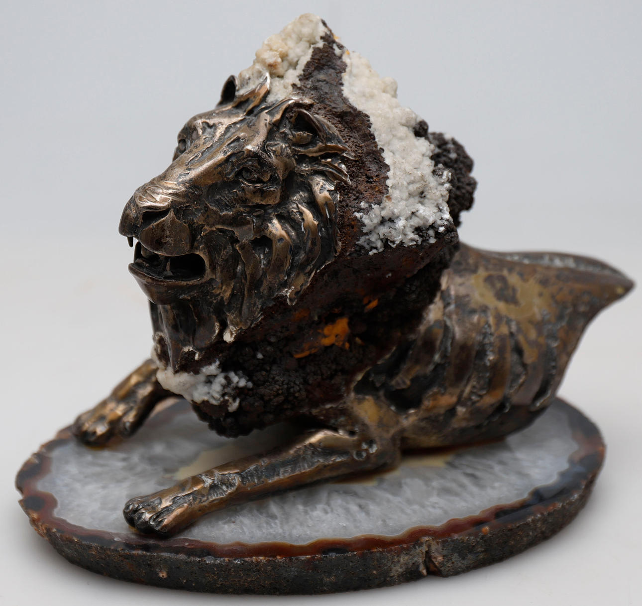 AMADOR BRAOJOS. Leo.