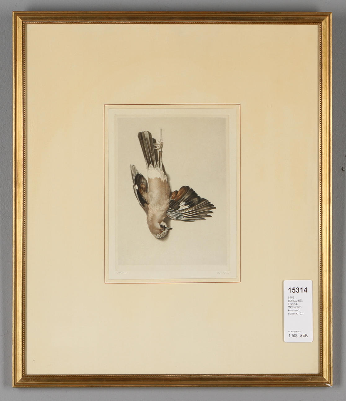 STIG BORGLIND. Etsning, "Nötskrika", kolorerad, signerad.