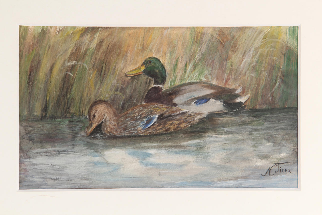 NILS TIREN. AKVARELL, med änder, signerad.