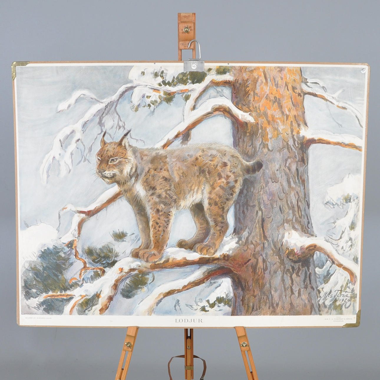 SKOLPLANSCH, lodjur.