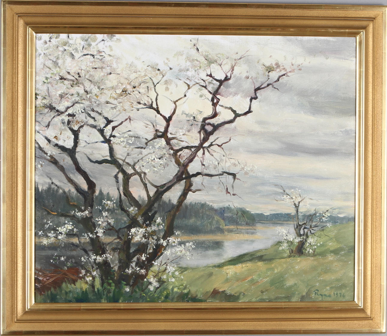 RYNO FRIBERG. Blommande träd vi vatten, olja på duk, signerad och daterad 1976.