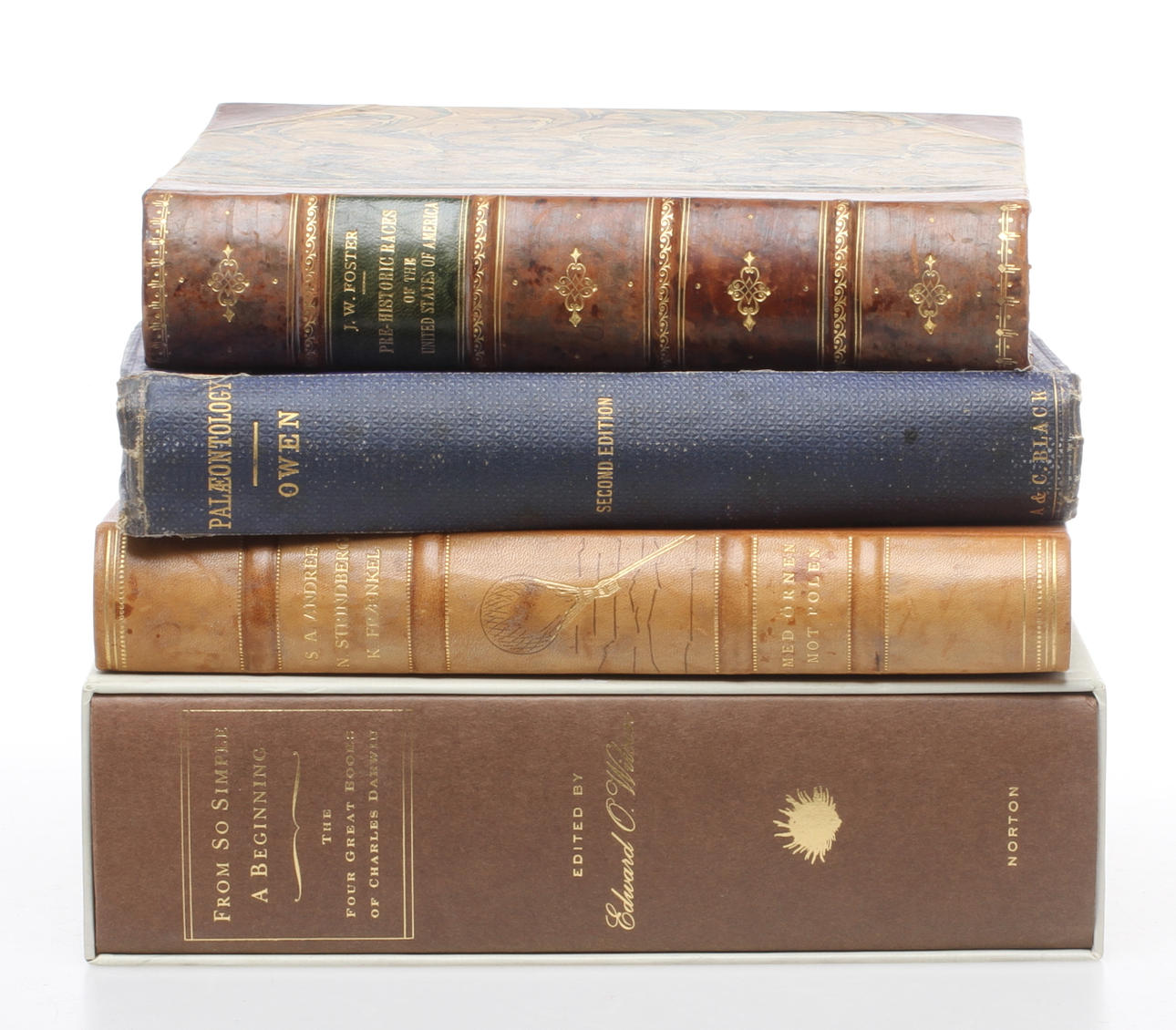 BÖCKER, 4 st, bland annat Palaeontology Richard Owen, Med Örnen mot Polen S.A. Andrée,1800-2000-tal.