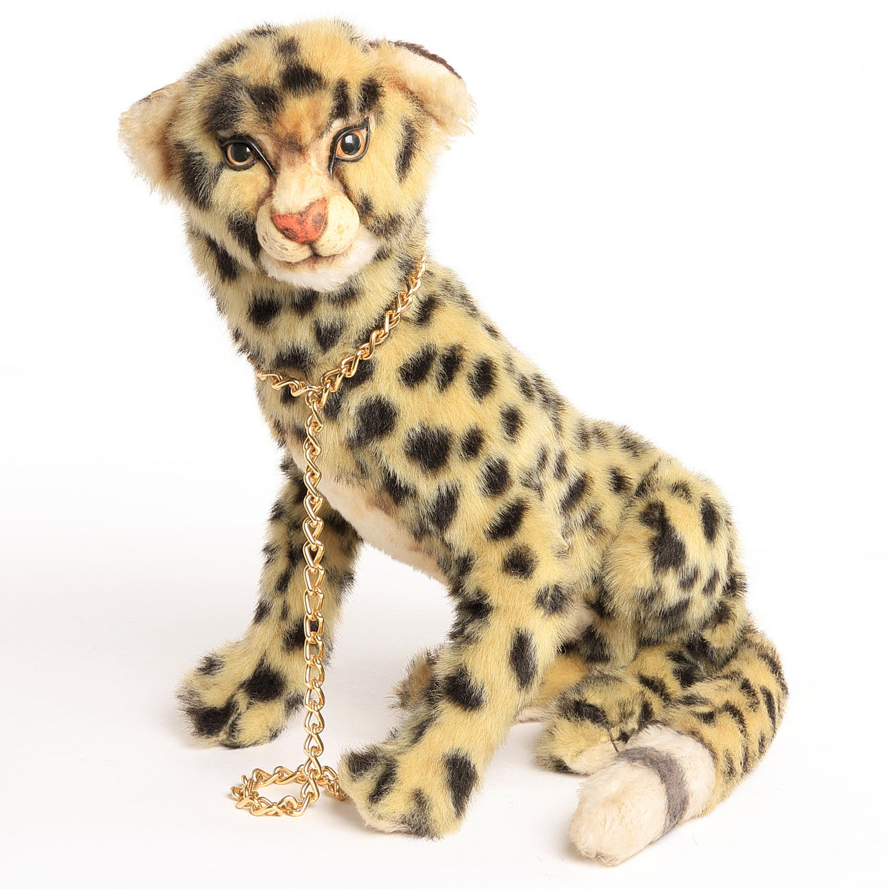 MOLLUSKS, Paris, Aux Nations, leopard.