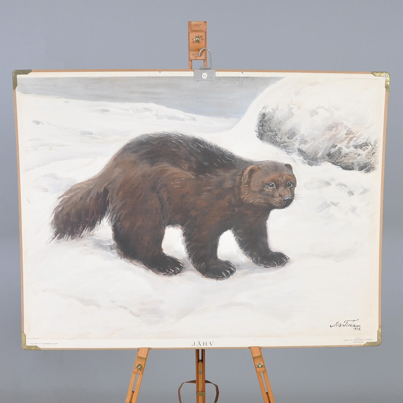 PLANETA ESCOLAR. Glotón.