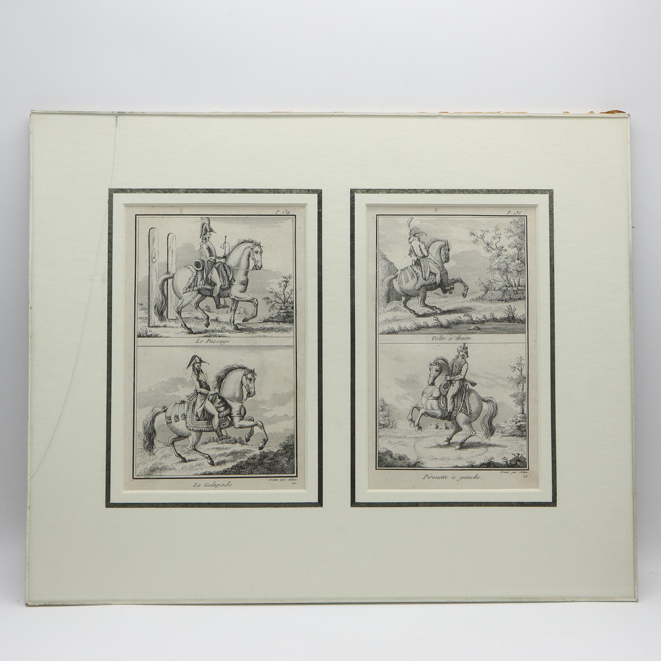 GRABADO CABALLOS AÑO 1802.