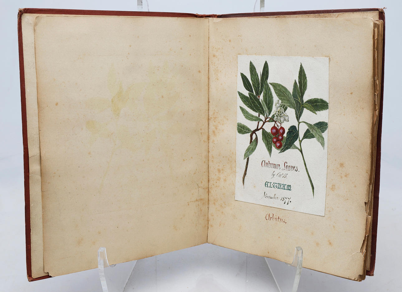 ENGLISH SCHOOL, 1877. "Efterårsblade".