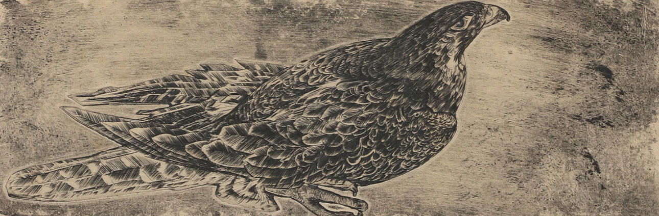 JOSEPH HECHT. Vogel, Radierung, signiert.