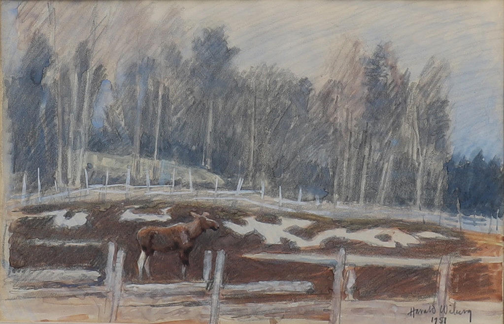 HARALD WIBERG. Älgko i vårvinterlandskap, blandteknik.