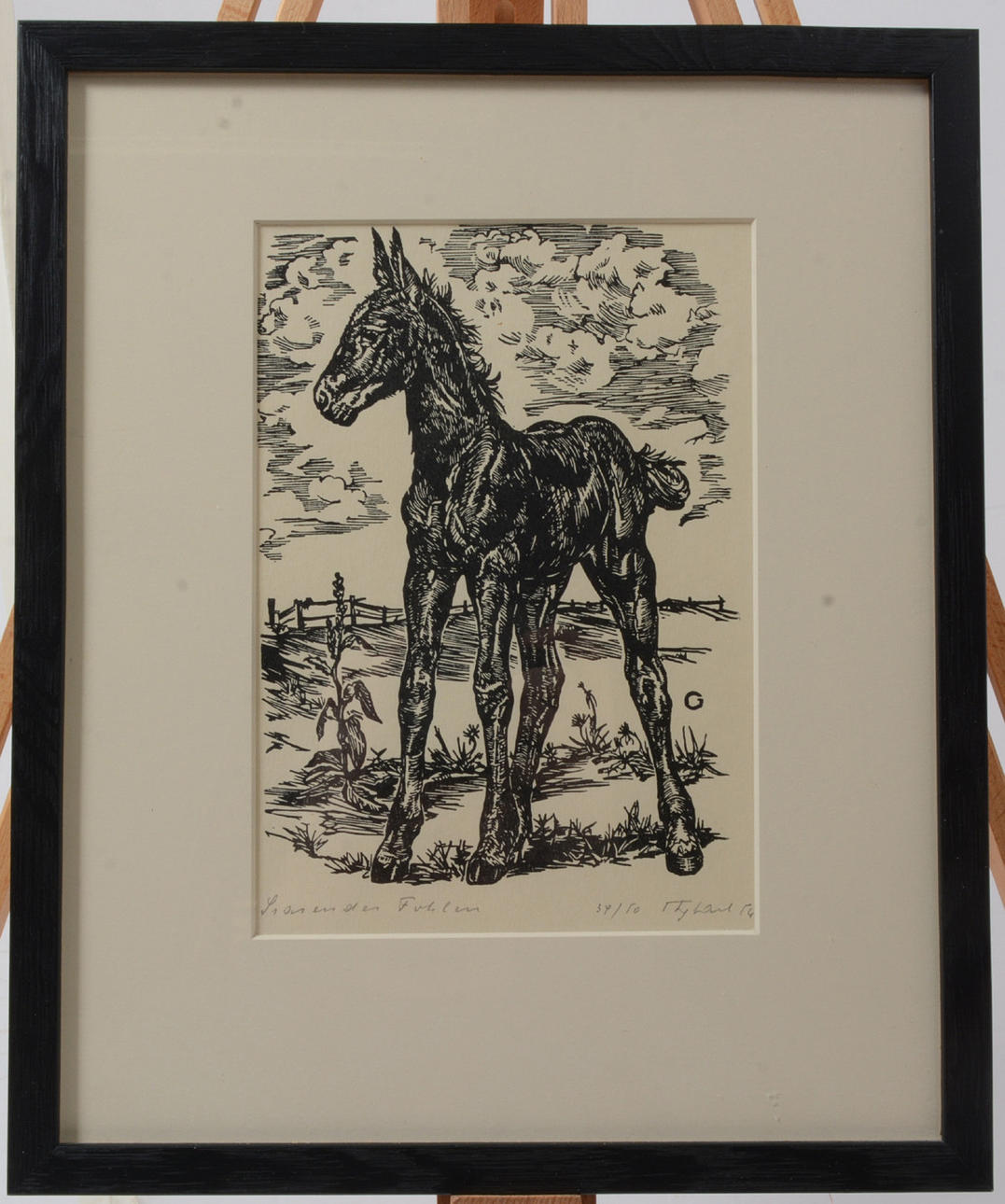 OIDENTIFIERAD KONSTNÄR. Black Foal. Lithograph.