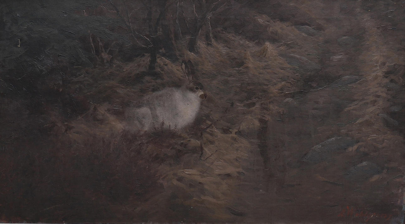 ANDERS WAHLGREN. HARE IN FOREST LANDSCAPE.