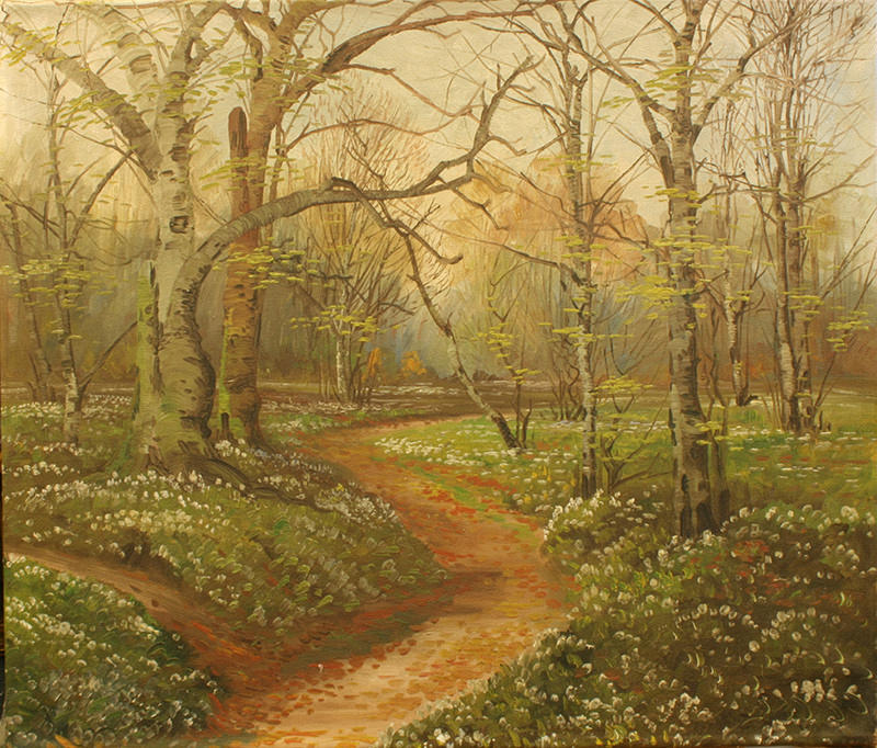 SKOV. Charlottenlund Slotspark.