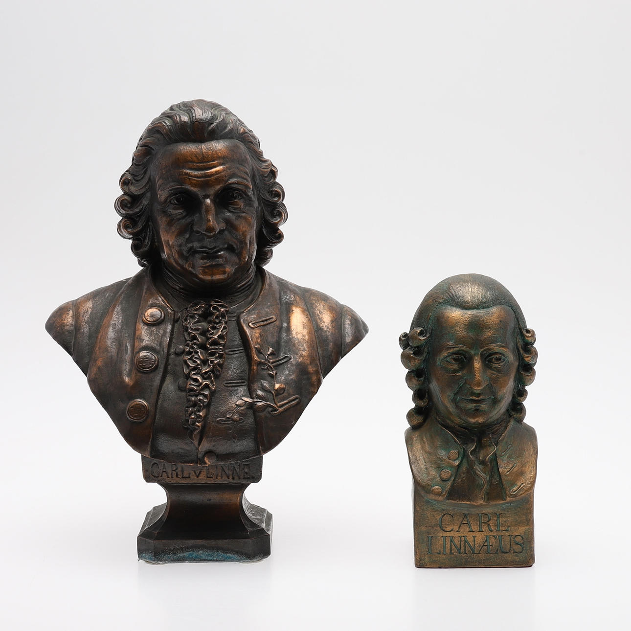 PORTRAIT BUSTS, TWO PIECES, REPRESENTING CARL VON LINNÉ.