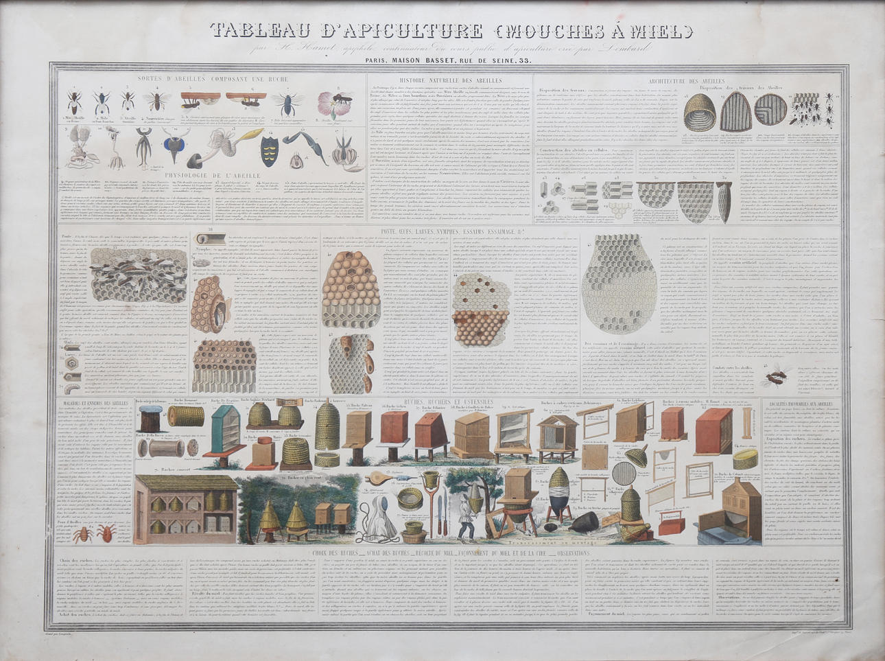 LANGEVIN (PRINTER). "Tableau d'apiculture (mouches á miel)".