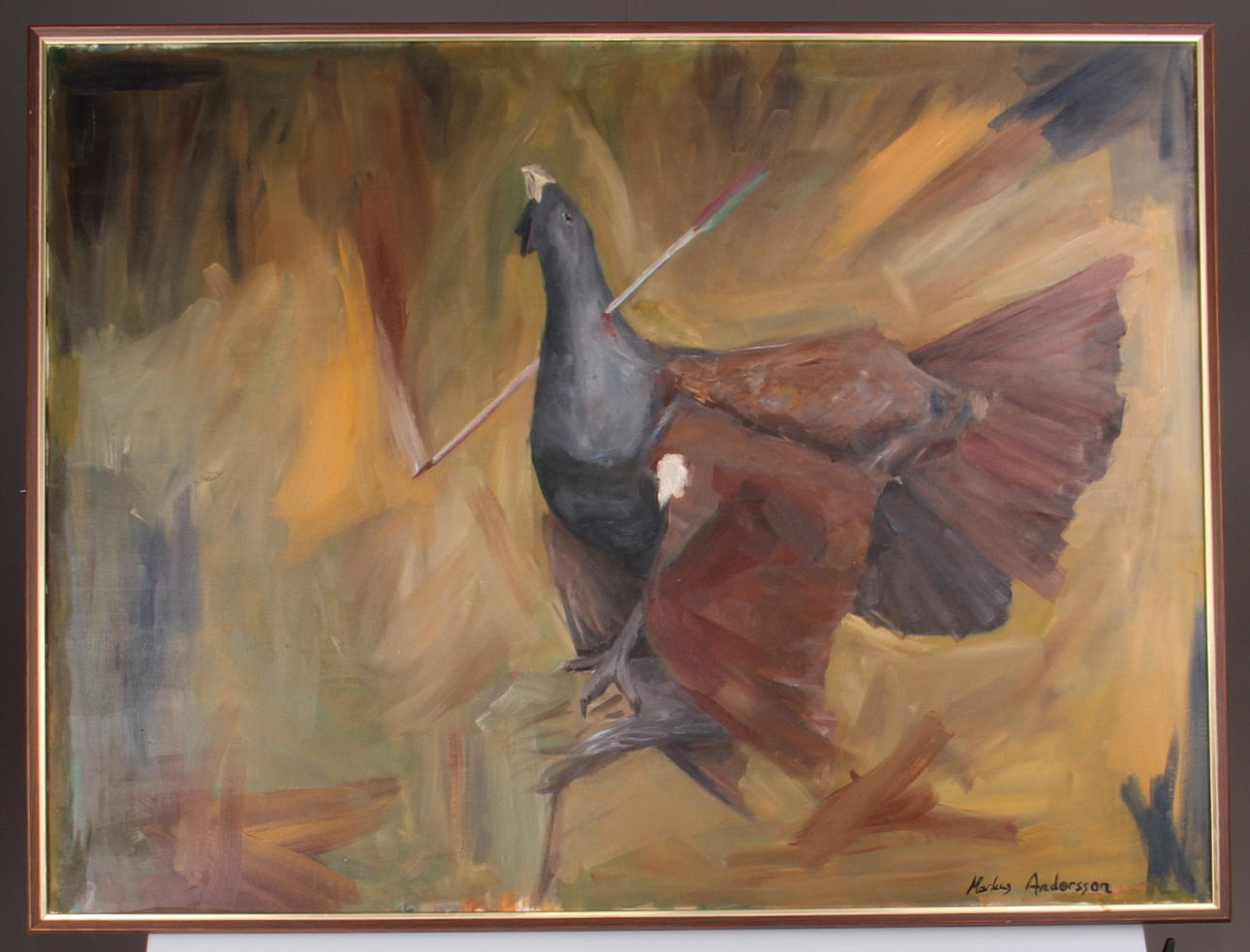 MARKUS ANDERSSON. skadeskjuten tjäder, olja på duk, signerad.