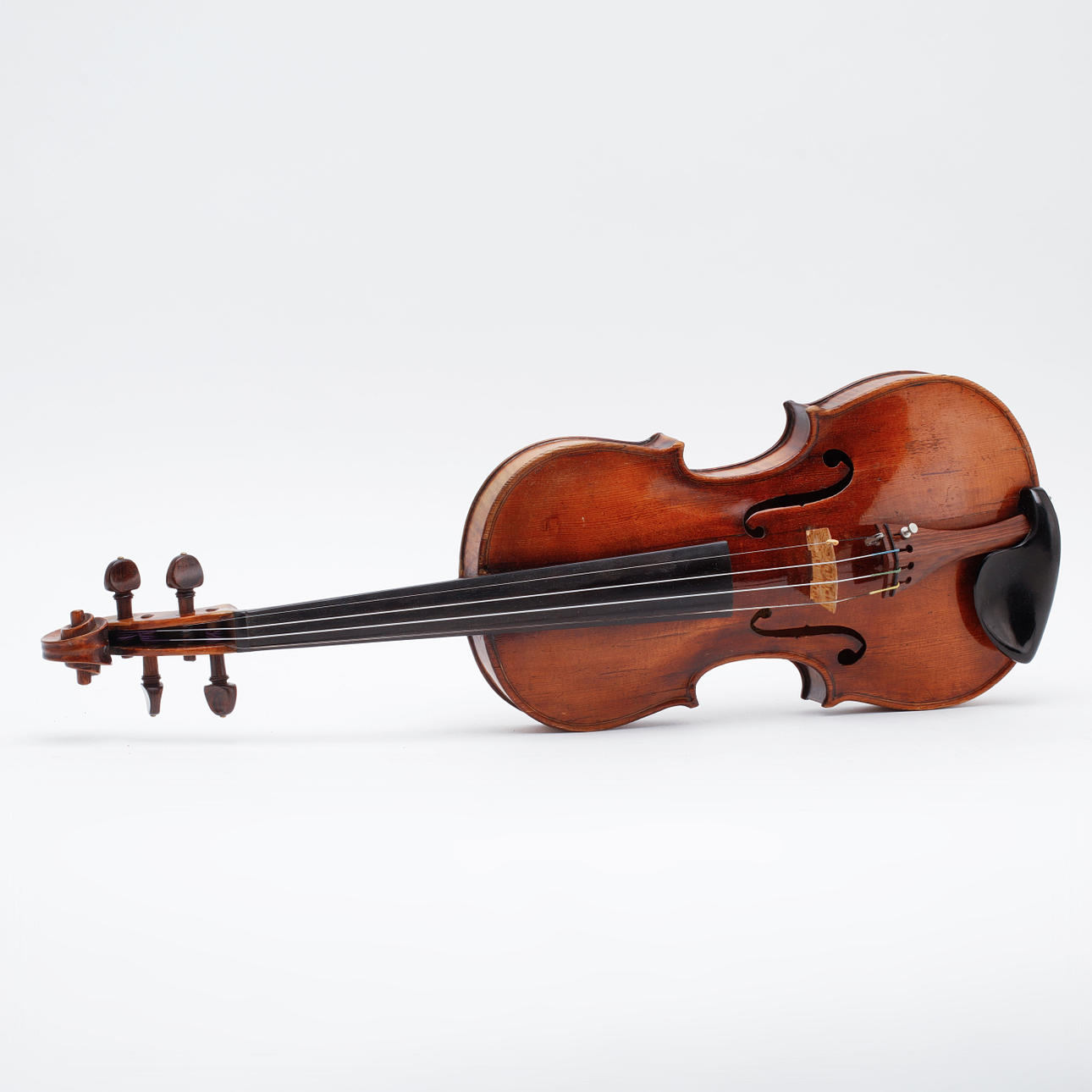 VIOLIN and 2 STRINGS.