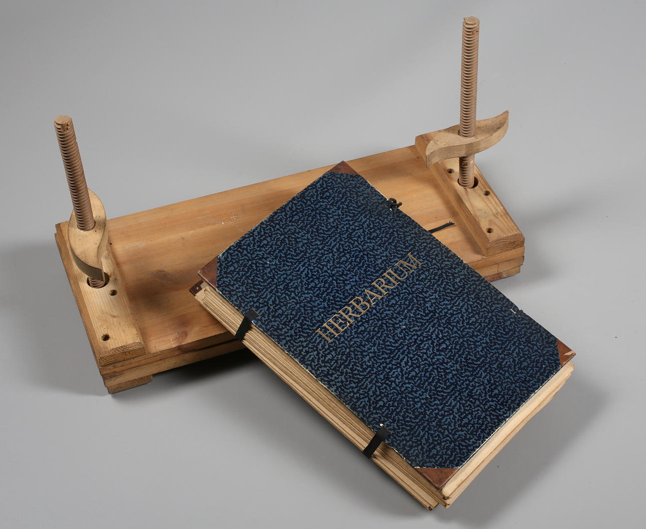 HERBARIUM med växtpress, 1930 tal.