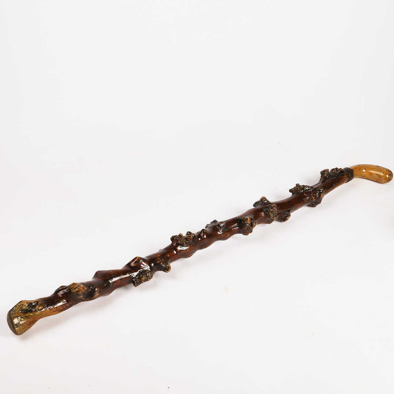 WANDERSTOCK, lackierter und geschnitzter Holzzweig.