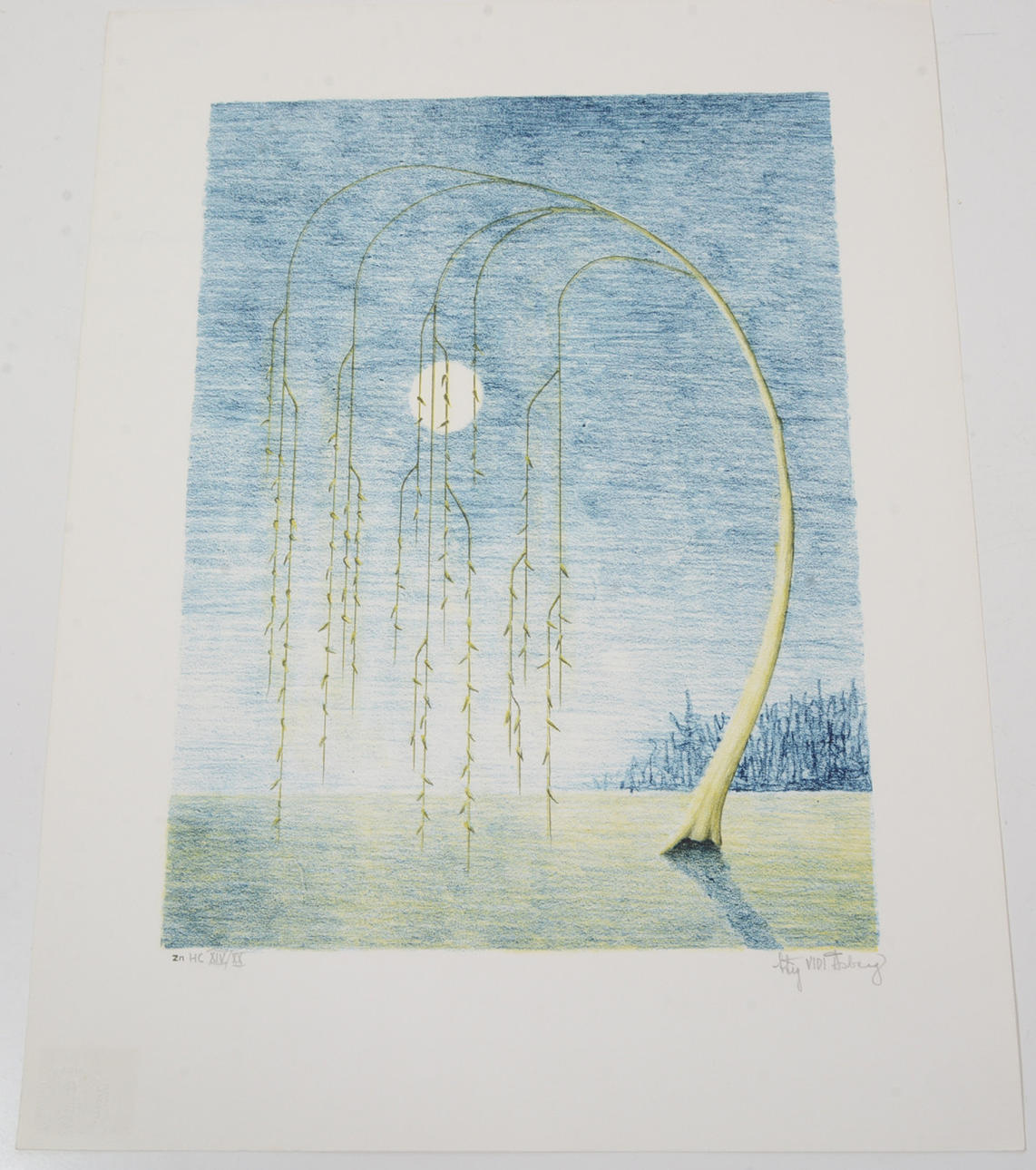 STIG "VIDI" ÅSBERG. Willow. Lithograph.