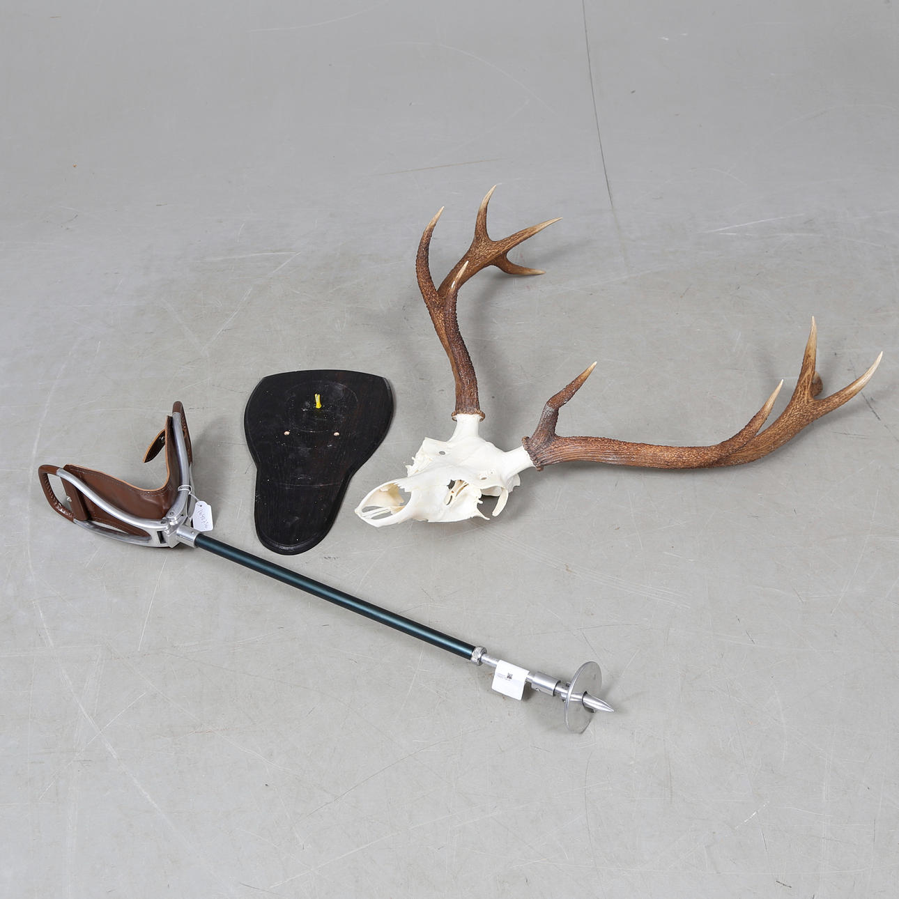 TROFÆ, kronhjort og JAGTKUGL.