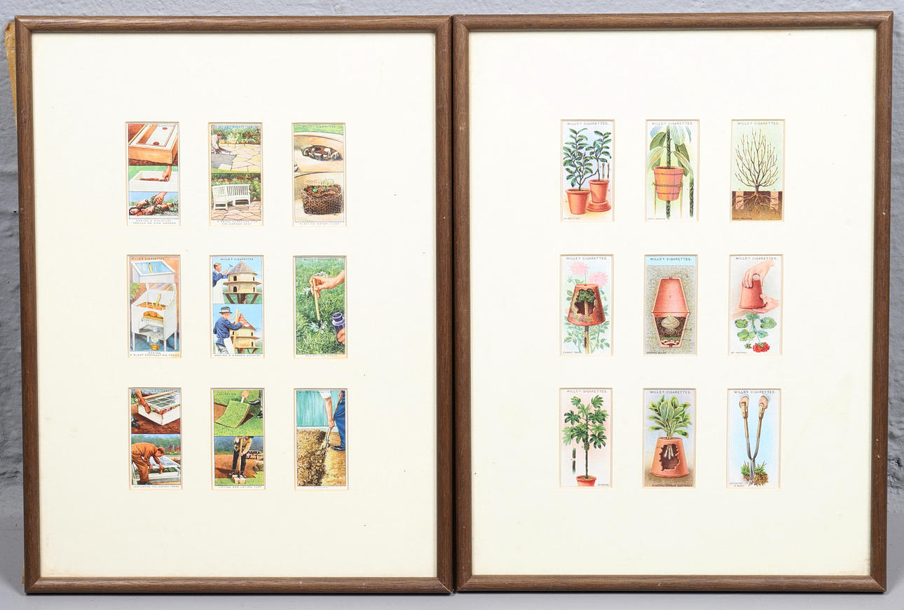 WILLS'S CIGARETTE CARDS.