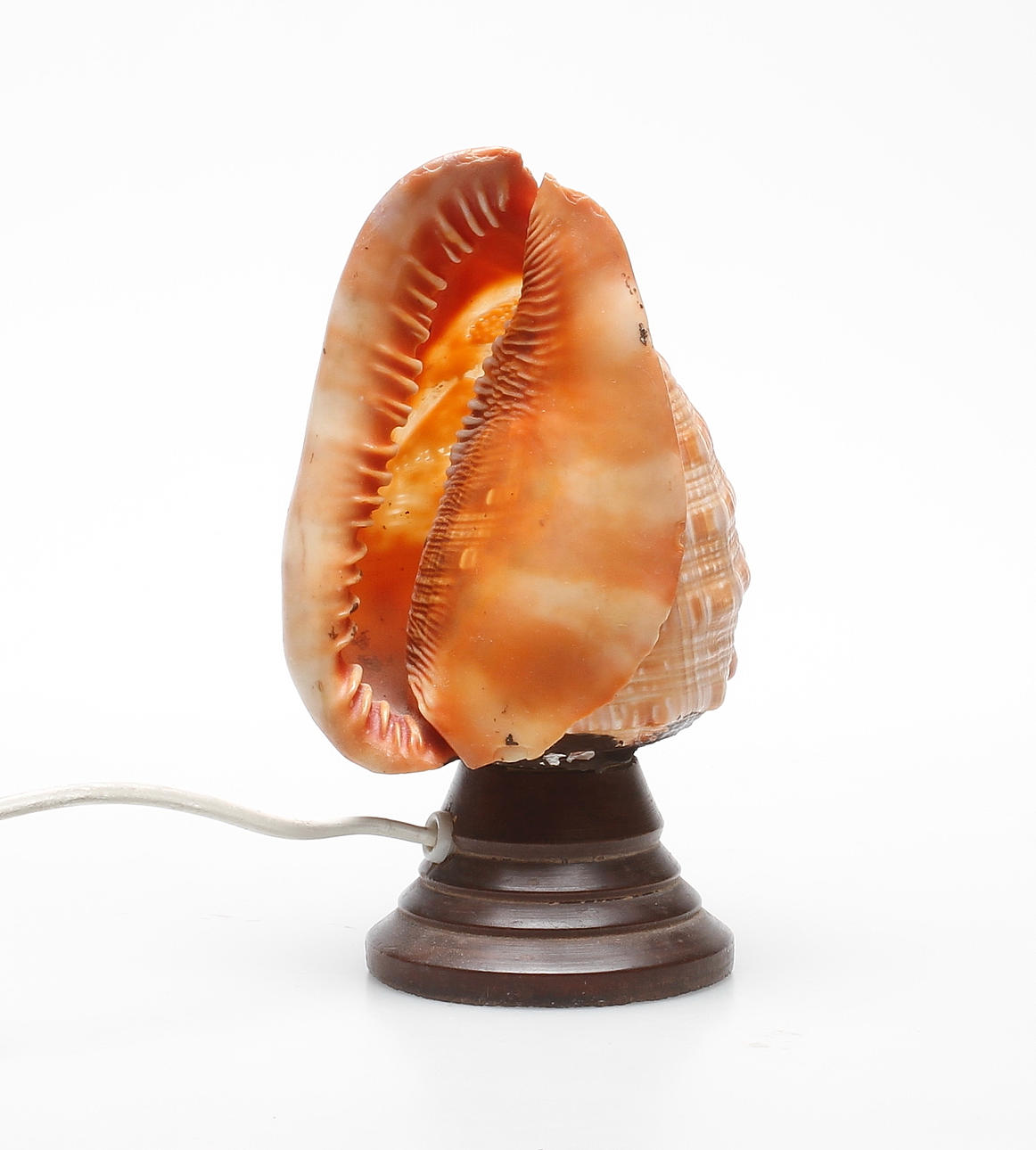 BORDSLAMPA, snäckskal med camé, 1900-tal.