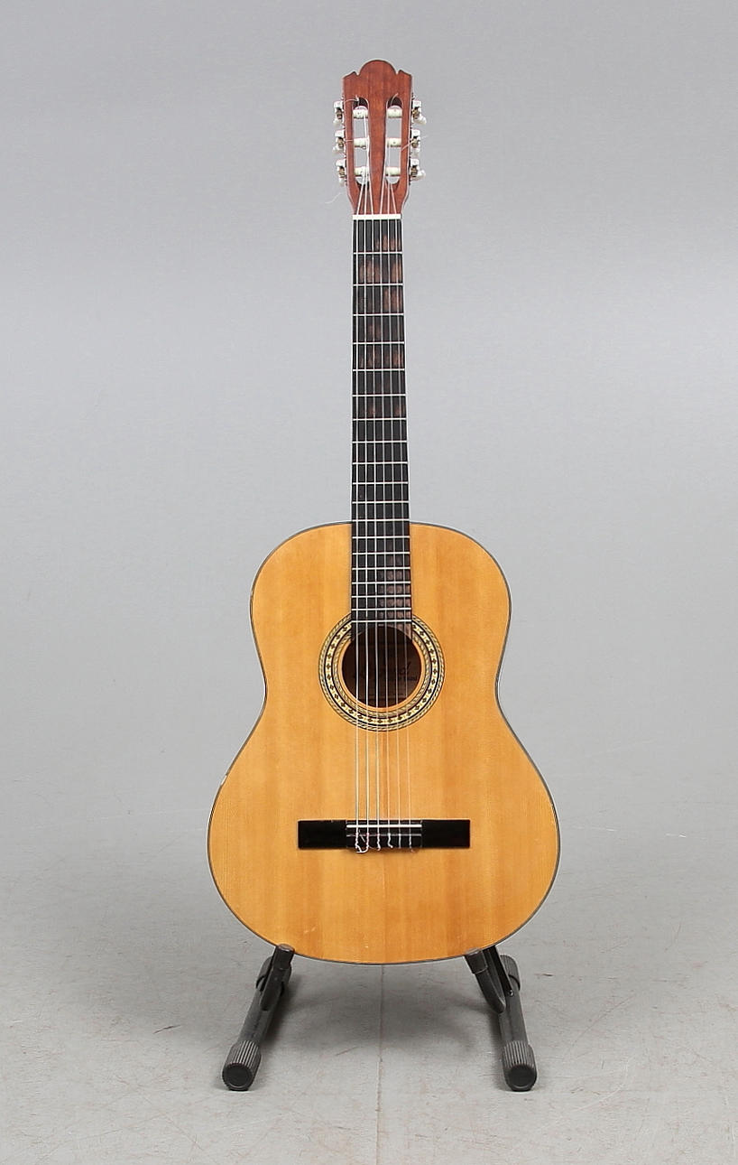 AKUSTISK GITARR, LEC10, Legend.