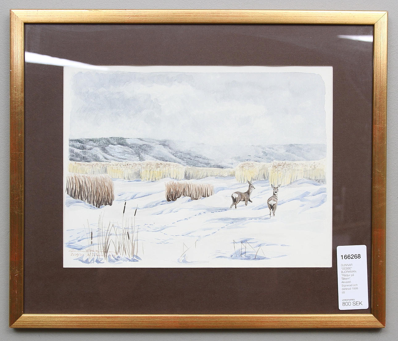 GUNNAR "GEBBE" BJÖRKMAN. "Rådjur på Tåkern". Akvarell. Signerad och daterad 1999.