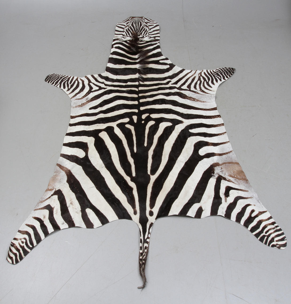 ZEBRASKINN.