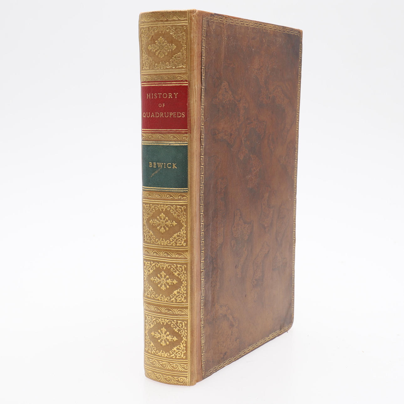 THYOMAS BEWICK'S BERÜHMTE EINE ALLGEMEINE GESCHICHTE DER VIERBEINE MIT HOLZSCHNITT 1792.