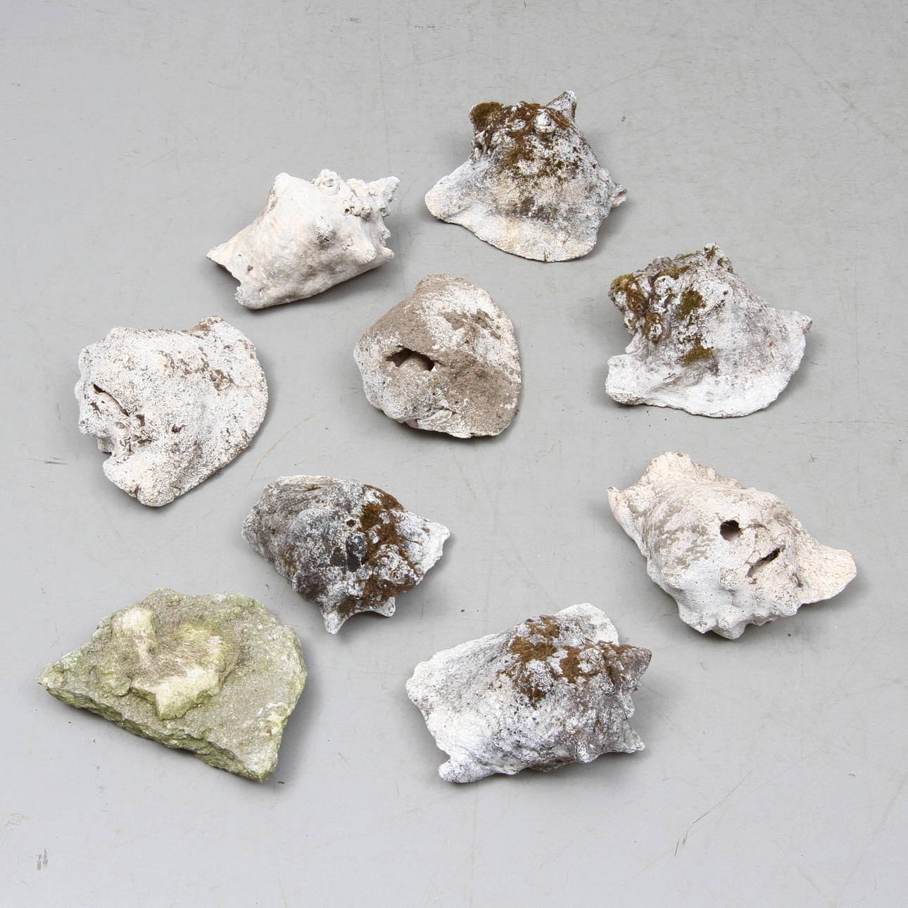 TRÄDGÅRDSSNÄCKOR, 9 st, 1900-tal.