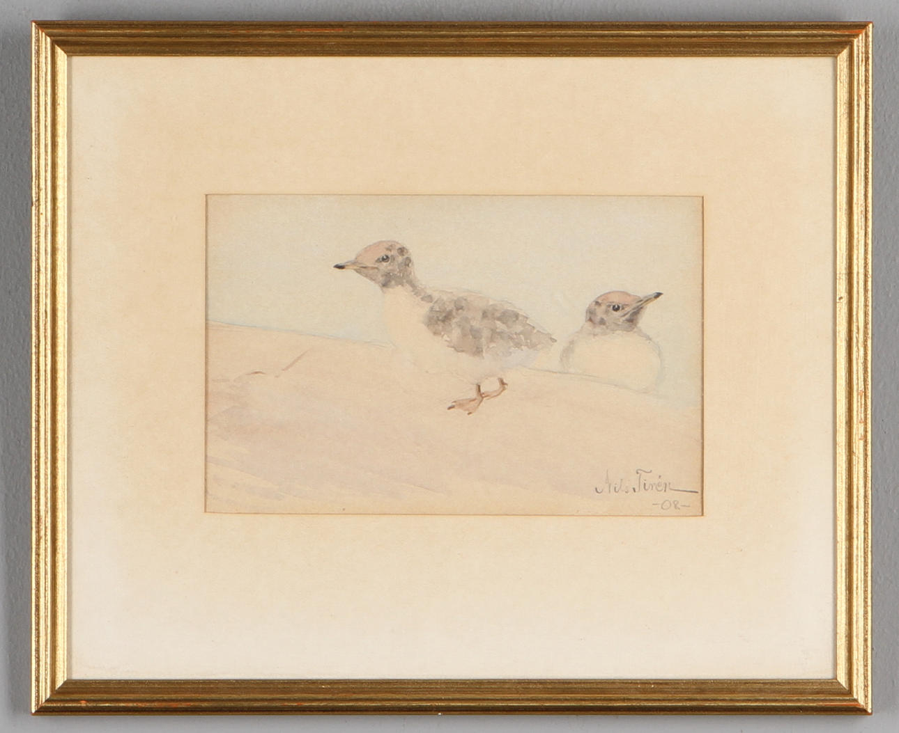 NILS TIRÉN. Fågelungar, akvarell, signerad och daterad -08.