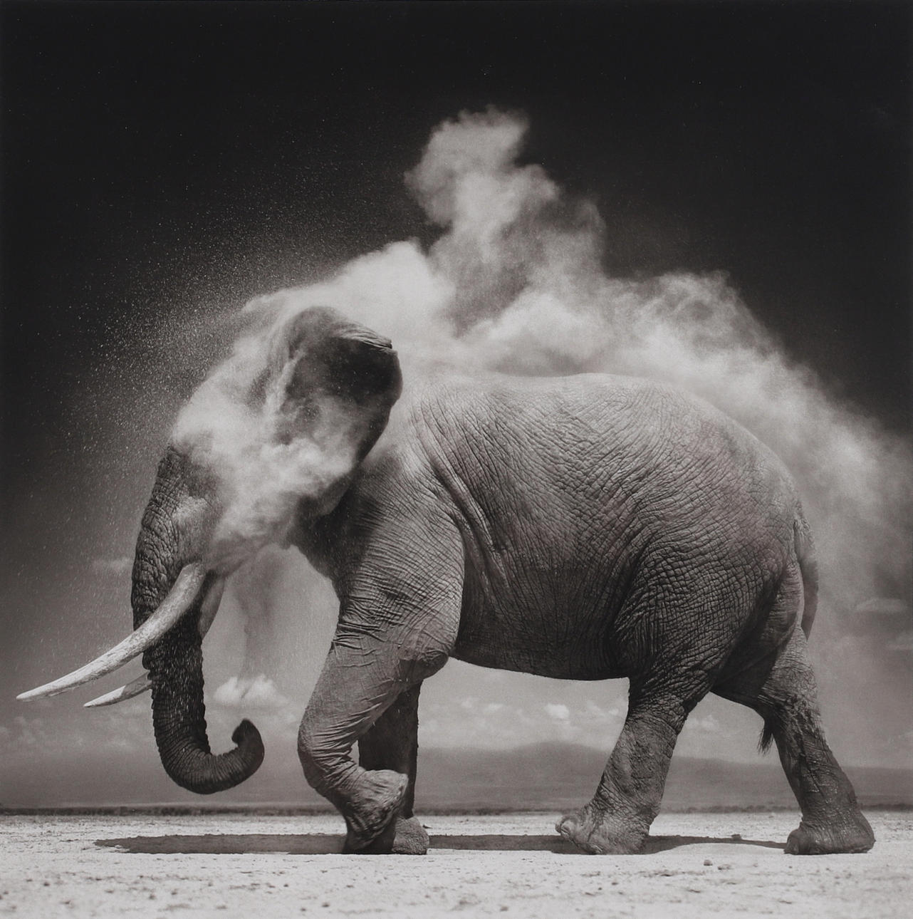 NICK BRANDT. offsetfotografi, "On This Earth, A Shadow Falls".