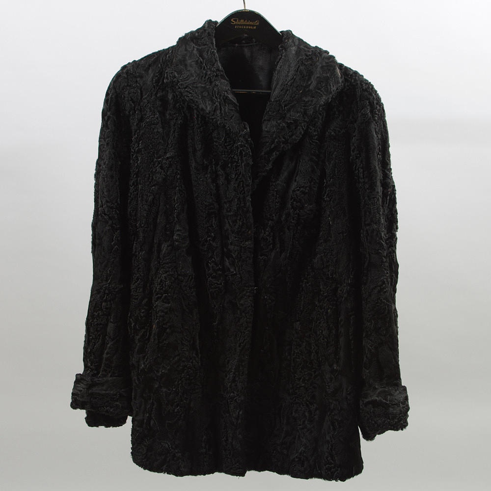 PÄLSJACKA, persian.