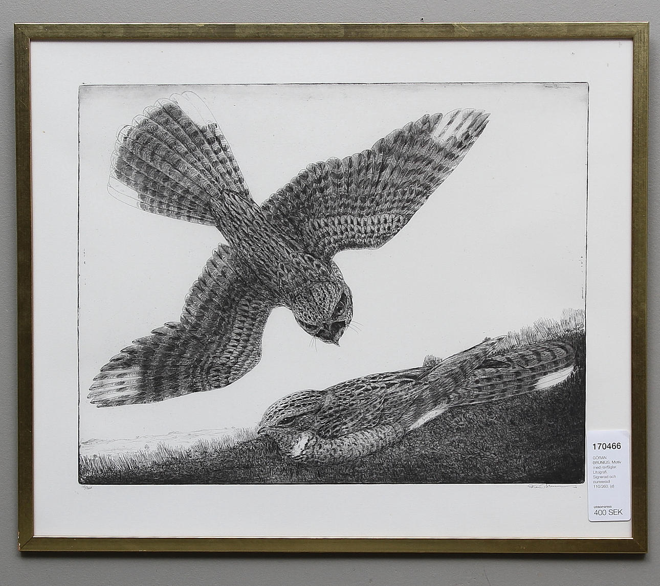GÖRAN BRUNIUS. Motiv med rovfåglar. Litografi. Signerad och numrerad 110/260.