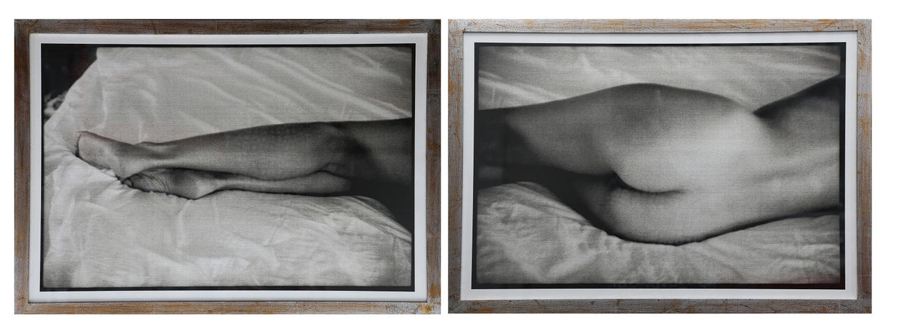 GABRIEL SUAU. Daisy (bok).