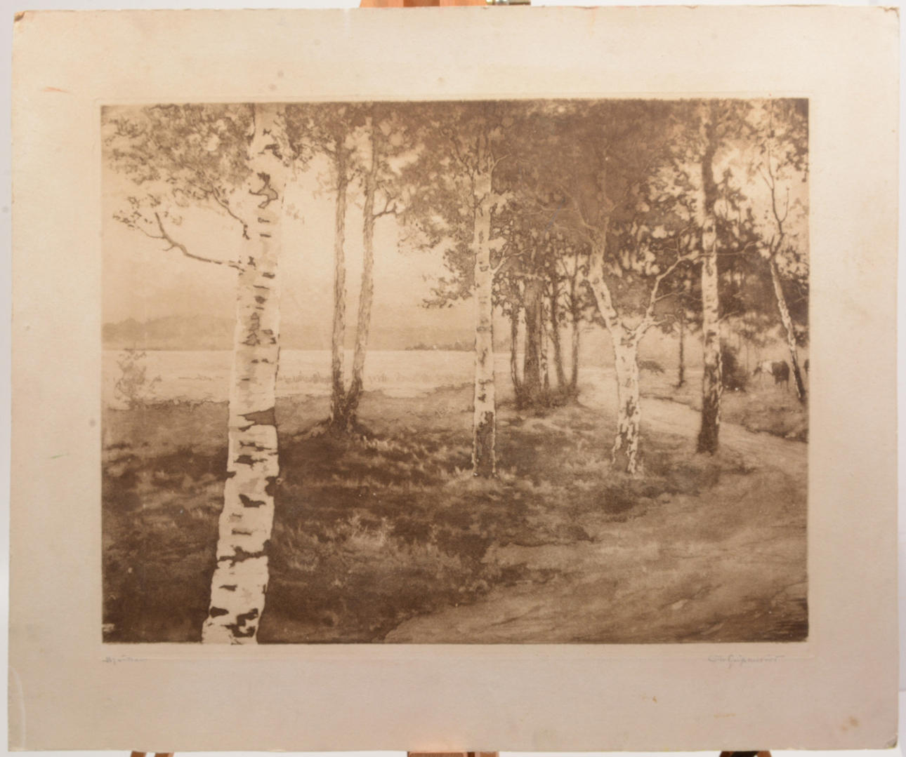 OTTO GRIPENSVÄRD. Birketræerne. Ætsning.