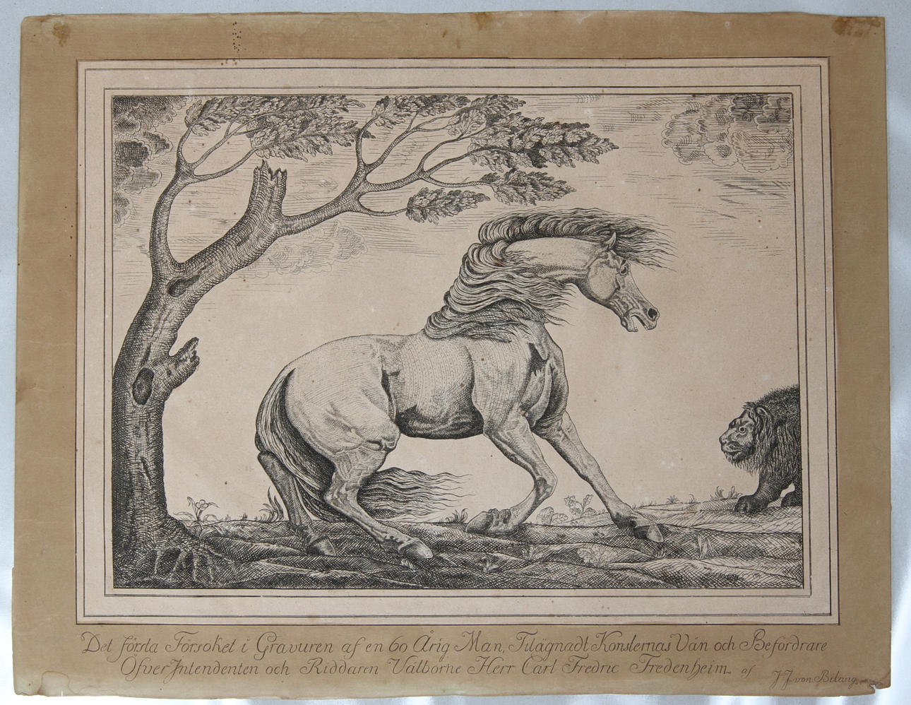 JOHAN JACOB VON BILANG. Häst skrämd av lejon, motiv efter Georg Stubbs, gravyr, omkring sekelskiftet 1800.