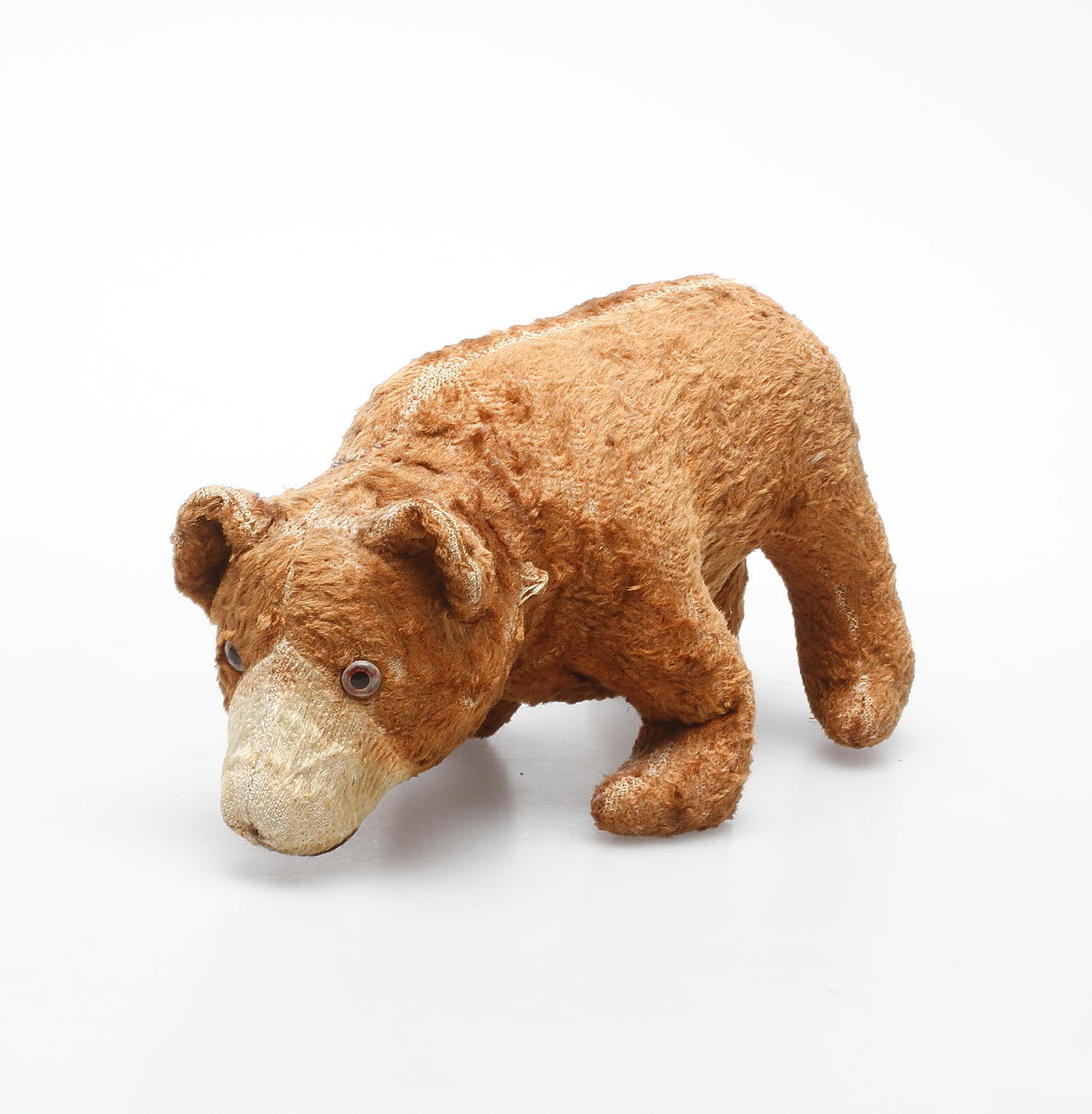 BJÖRN, möjligtvis Steiff, 1900-talets första hälft.