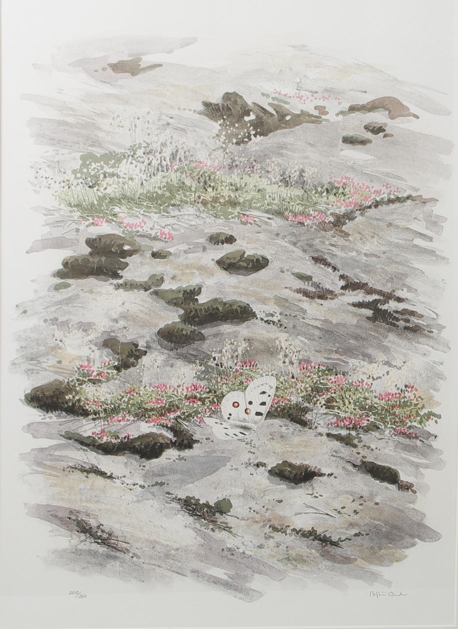 BJÖRN DAL. Landskap med fjärill, signerad.