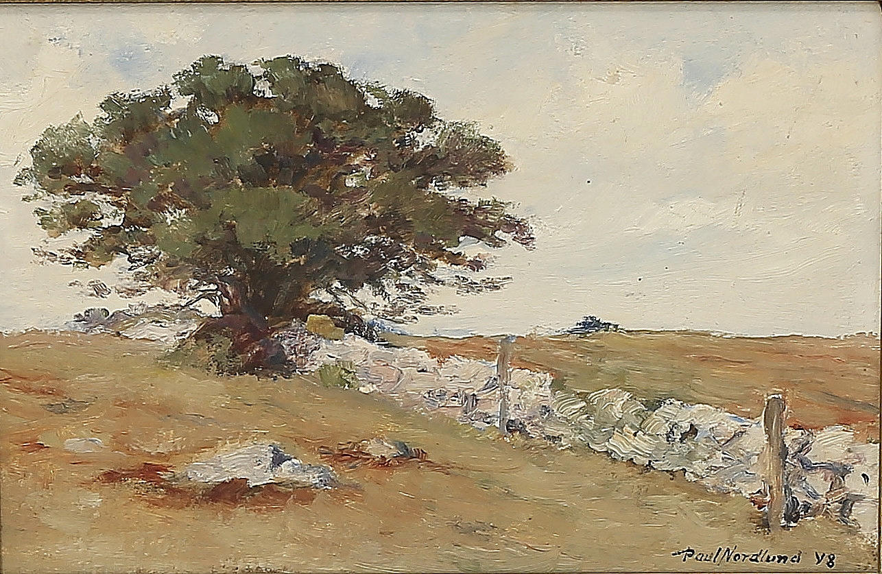 PAUL NORDLUND. "Hawthorn trees in ...", oil on Board, signed, dated -48.