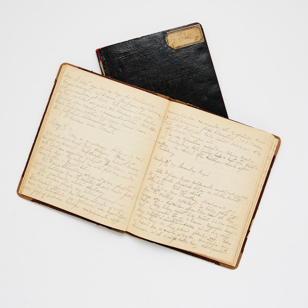 Andrées polarekspedition - 2 dagbøger Axel Stake.