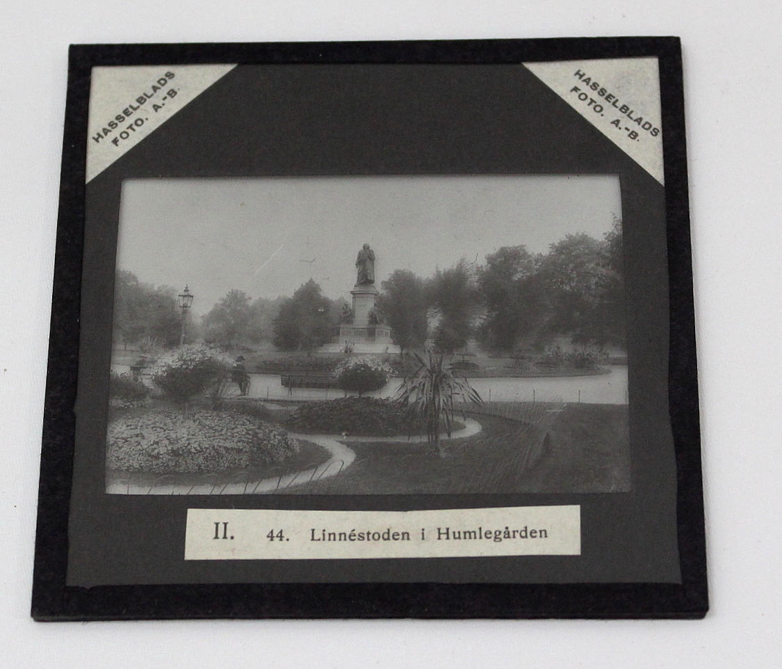 HASSELBLADS, svenska och utländsk glasplåtar, ca 330 kort i sju stycken originallådor.