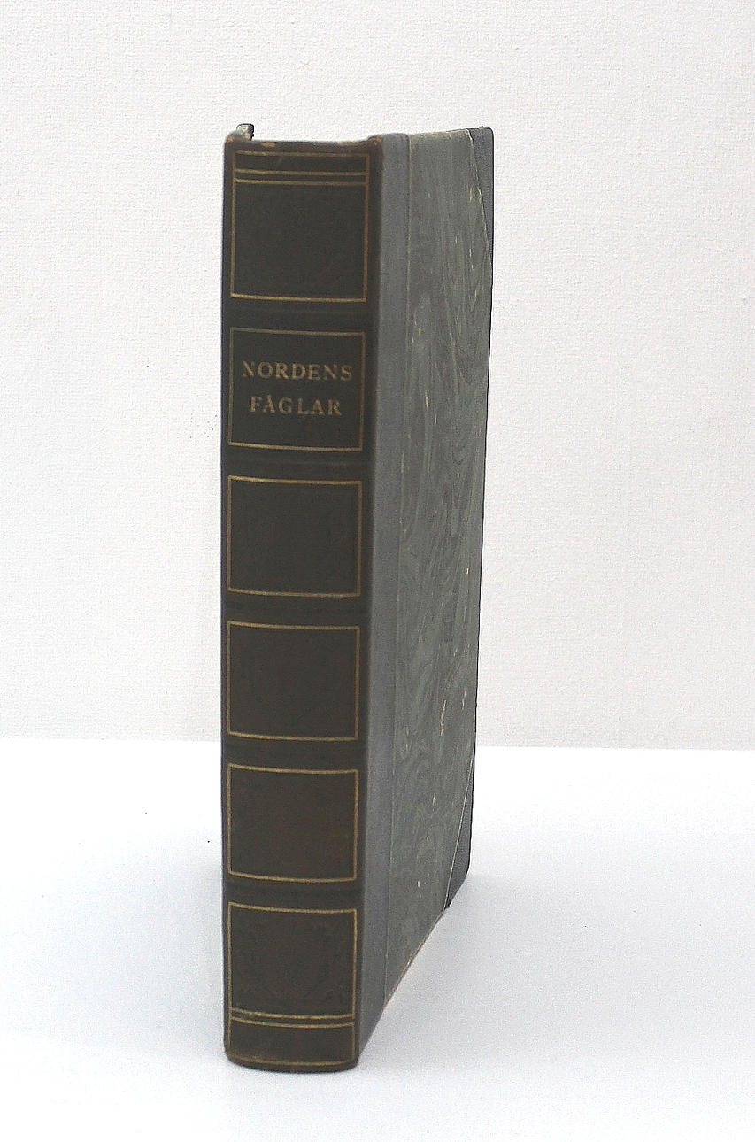BOK Nordens fåglar, 170 tavlor av Olof Gylling, tryckt 1920.