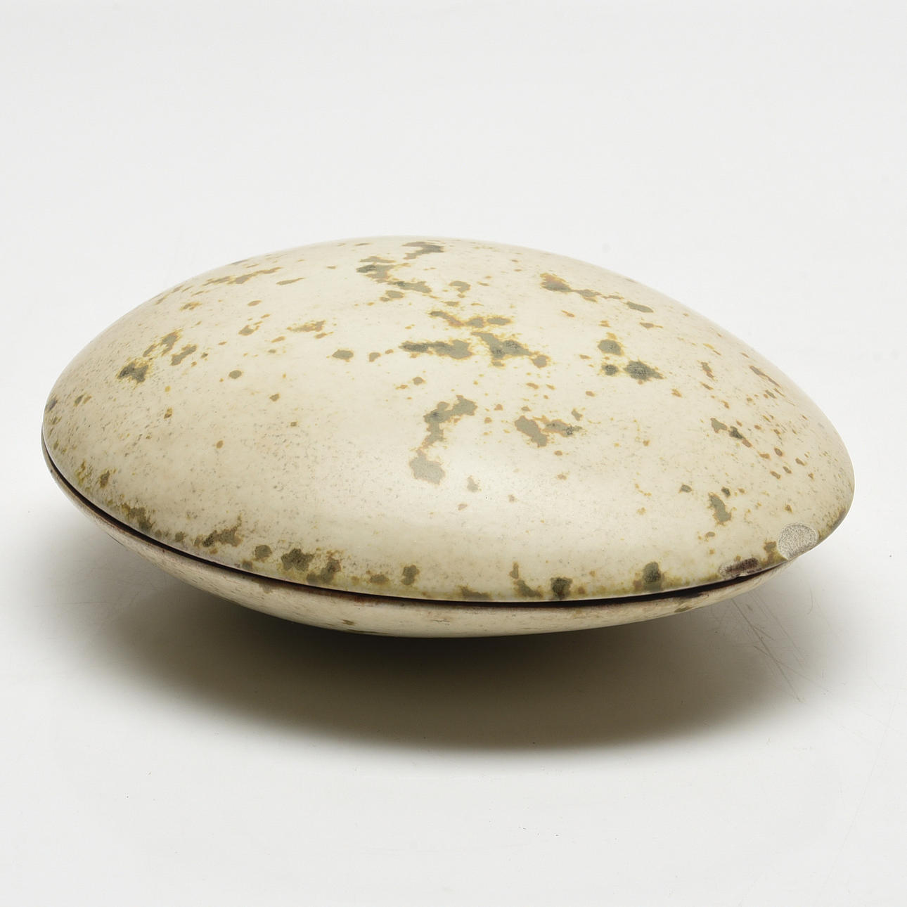 HANS HEDBERG. ask med lock, Biot, Frankrike.