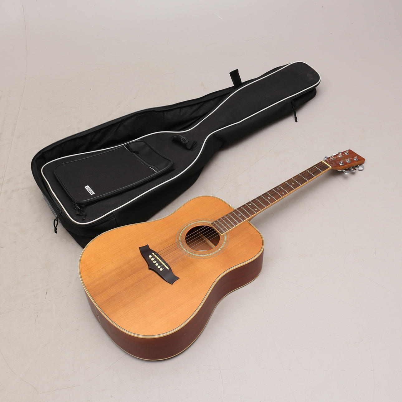 ACOUSTIC GUITAR, Tanglewood, Indiana, in case.